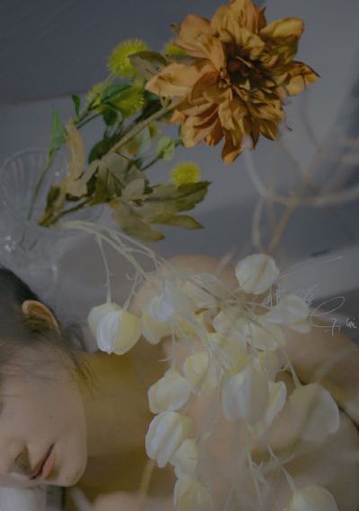 姐姐妹妹