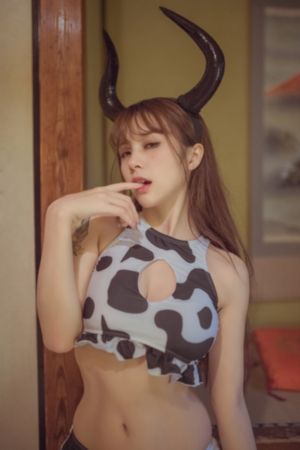 爱情力学 电视剧